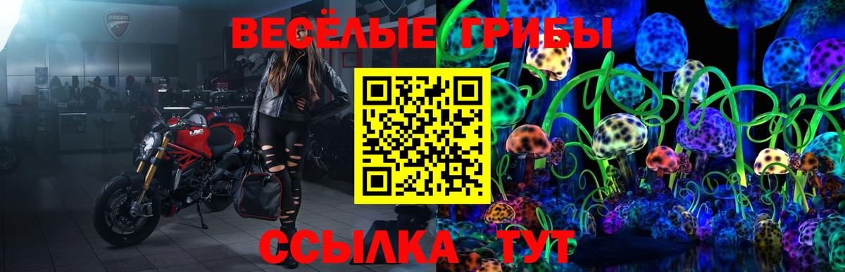 Галлюциногенные грибы мухоморы Ессентуки