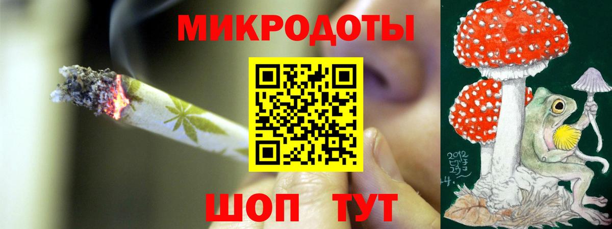 где купить   Вход с VPN  Ессентуки  Галлюциногенные грибы Psilocybine cubensis 